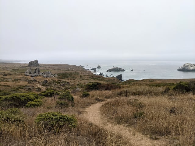 Sonoma Coast State Park